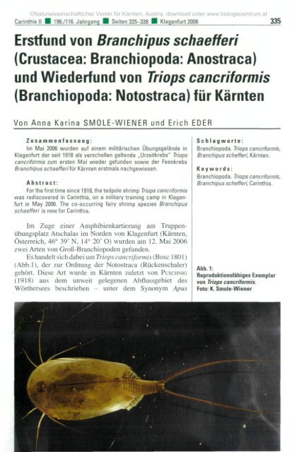 Erstfund von Branchipus schaefferi (Crustacea: Branchiopoda ...