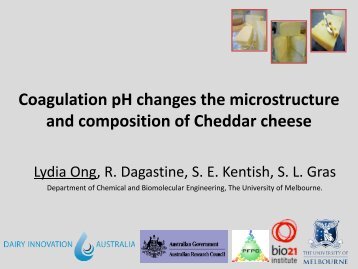 Cheese Microstructure - IDF Cheese Ripening