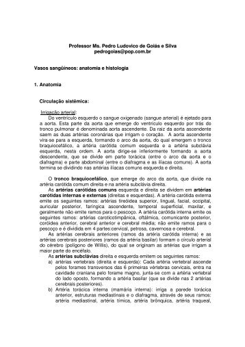 Vasos sanguineos_anatomia e histologia.pdf - Ucg