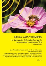 ABEJAS, AVES Y HOMBRES - Kompetenzinitiative