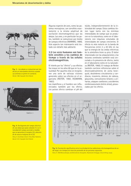 ABEJAS, AVES Y HOMBRES - Kompetenzinitiative