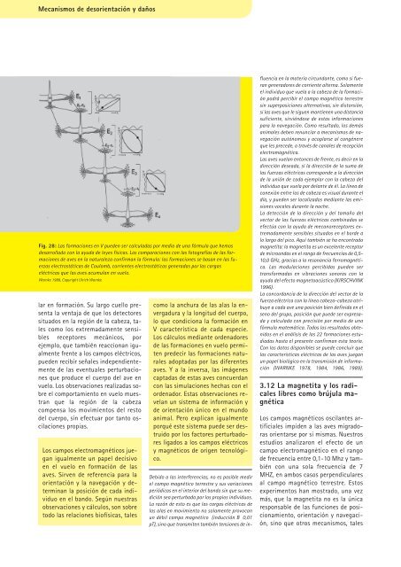 ABEJAS, AVES Y HOMBRES - Kompetenzinitiative