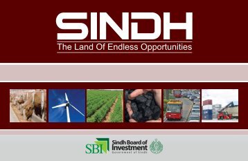 sindh investment project - Sindh Board Of Investment, Government ...