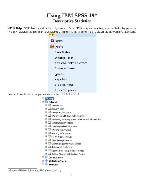 Using IBM SPSS 19 Descriptive Statistics - CBU