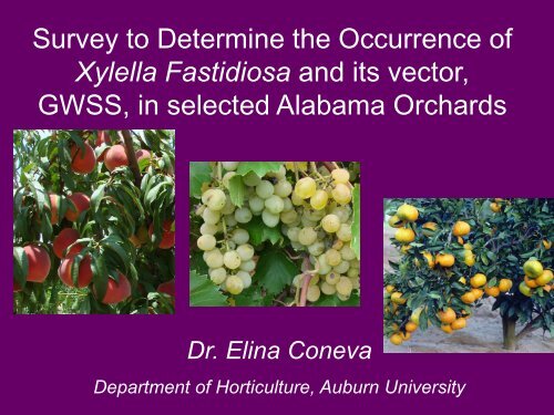 Survey to Determine the Occurrence of Xylella Fastidiosa and its ...