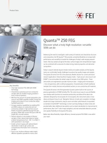 FEI Quanta 250 FEG scanning electron microscope