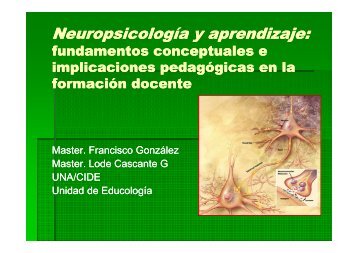 Implicaciones pedagÃ³gicas de la visiÃ³n neurobiolÃ³gica ... - Colypro