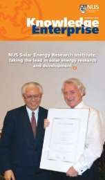 NUS Solar Energy Research Institute: - NewsHub - National ...