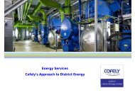 Energy Services Cofely's Approach to District Energy - Buro Happold