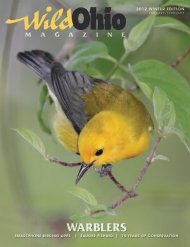WARBLERS - Ohio Department of Natural Resources