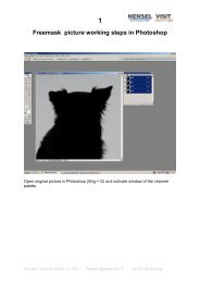 1 Freemask picture working steps in Photoshop - Hensel