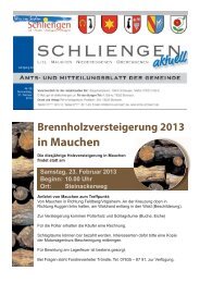 Mitteilungsblatt KW 08 - Gemeinde Schliengen