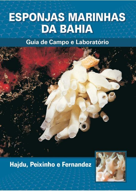 Esponjas Marinhas da Bahia - Guia de Campo e ... - Porifera Brasil