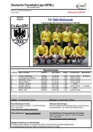 Deutsche Faustball-Liga (DFBL) TV 1865 Waibstadt