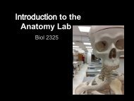 Bio_2325_files/Lab Intro powerpoint.pdf - Biology Courses Server