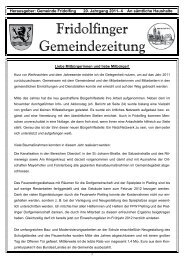 Fridolfinger Gemeindezeitung