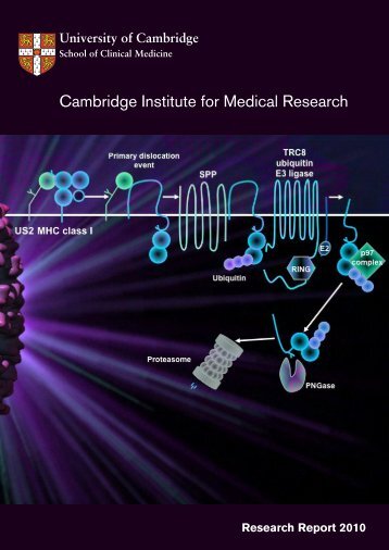 Research Report 2010 - Cambridge Institute for Medical Research ...