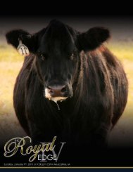 Royal Edge - Dwyer Cattle Services