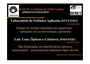 Cristiano de Mello Gallep - Unicamp