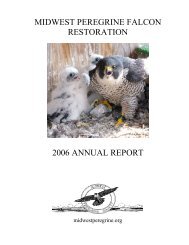 2006 - Midwest Peregrine Falcon Restoration Project