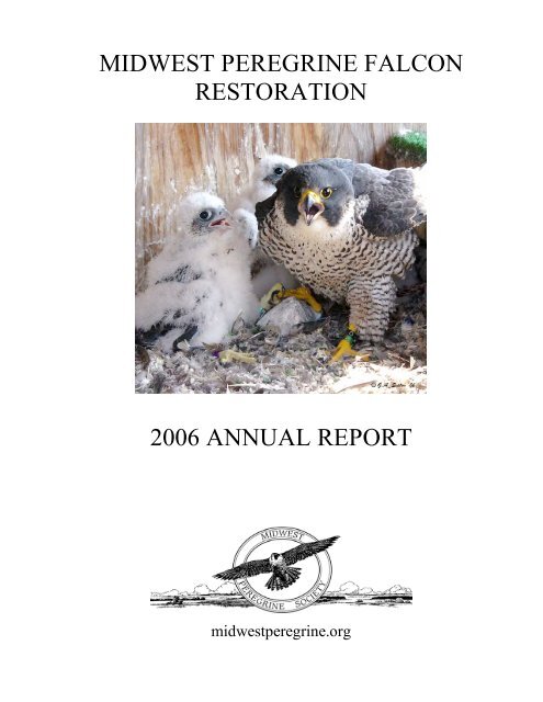 2006 - Midwest Peregrine Falcon Restoration Project