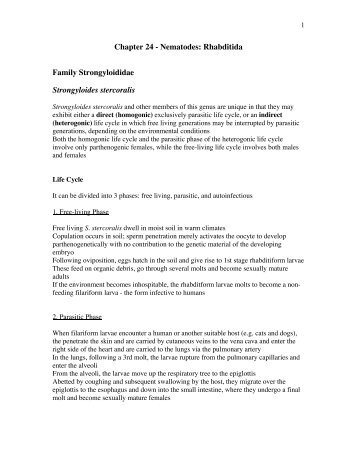 Chapter 24 - Nematodes: Rhabditida Family Strongyloididae ...