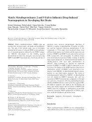 Matrix Metalloproteinases 2 and 9 Fail to Influence Drug-Induced ...