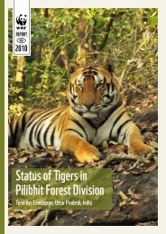 Status of Tigers in Pilibhit Forest Division - WWF-India
