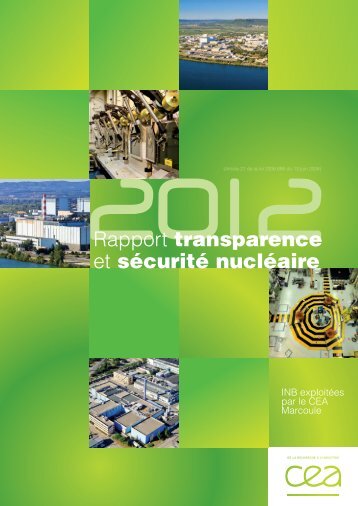 Rapport TSN Marcoule 2012 - CEA
