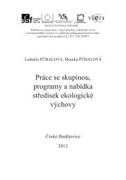 PrÃ¡ce se skupinou, programy a nabÃ­dka stÅedisek ... - Granty VÅ ERS