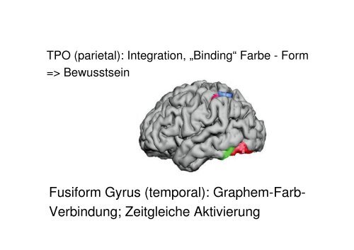 SynÃ¤sthesie - Allgemeine Psychologie und Neuropsychologie ...