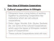 1. Cultural cooperatives in Ethiopia - Division for Social Policy and ...