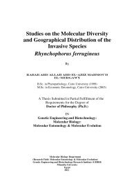 Studies on the Molecular Diversity and Geographical Distribution of ...