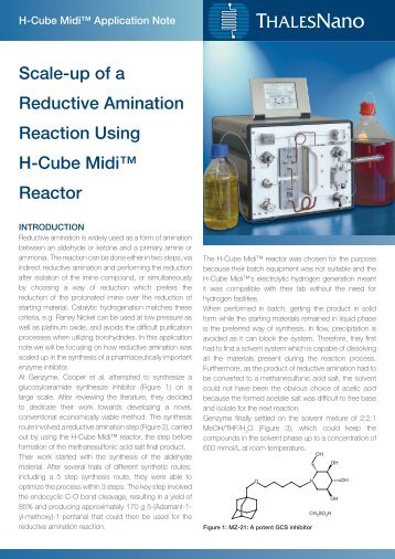 Scale-up of a Reductive Amination Reaction Using H-Cube Midi ...