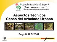 Censo del arbolado urbano - ISA Hispana