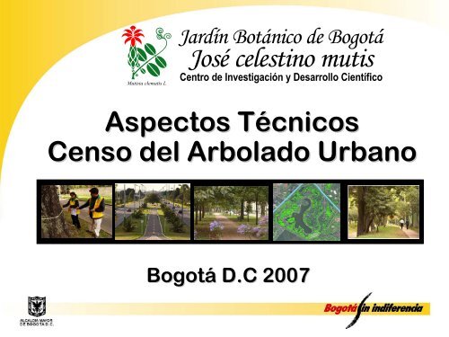 Censo del arbolado urbano - ISA Hispana