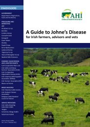 A Guide to Johne's Disease - Animal Health Ireland