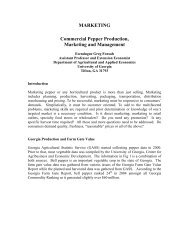 Commercial Pepper Production and Management - University of ...