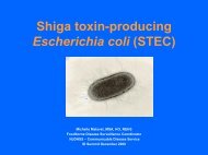 Shiga Toxin-producing Escherichia coli (STEC)