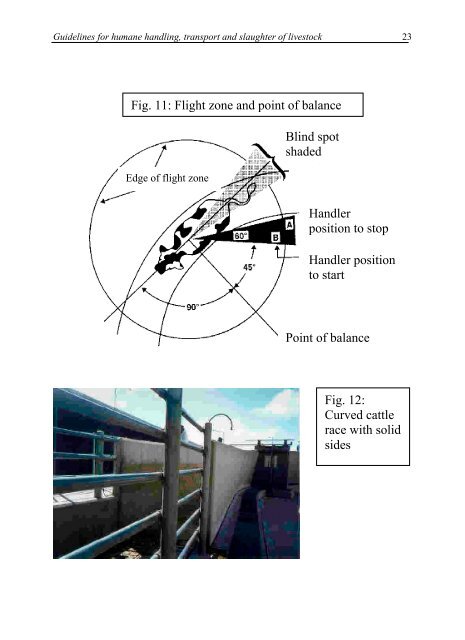 Guidelines for humane handling, transport and slaughter of