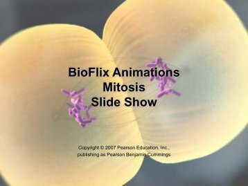 BioFlix Animations Mitosis Slide Show