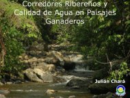 corredores ribereños