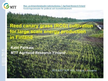 (RCG) cultivation for large scale energy production in Finland