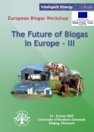 The Future of Biogas in Europe III, proceedings - Ramiran