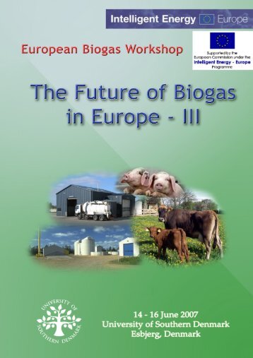 The Future of Biogas in Europe III, proceedings - Ramiran