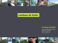 Lambeau de Kutler - e-plastic.fr