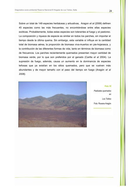 Descargar archivo en formato pdf. - FundaciÃ³n ProYungas