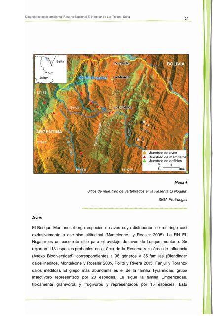 Descargar archivo en formato pdf. - FundaciÃ³n ProYungas