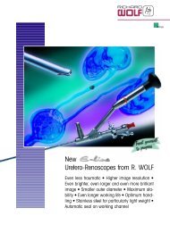 Uretero-Renoscopes from R. WOLF New - Movi Group