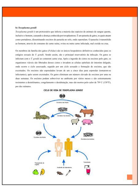 haccp - Inocuidade de Alimentos